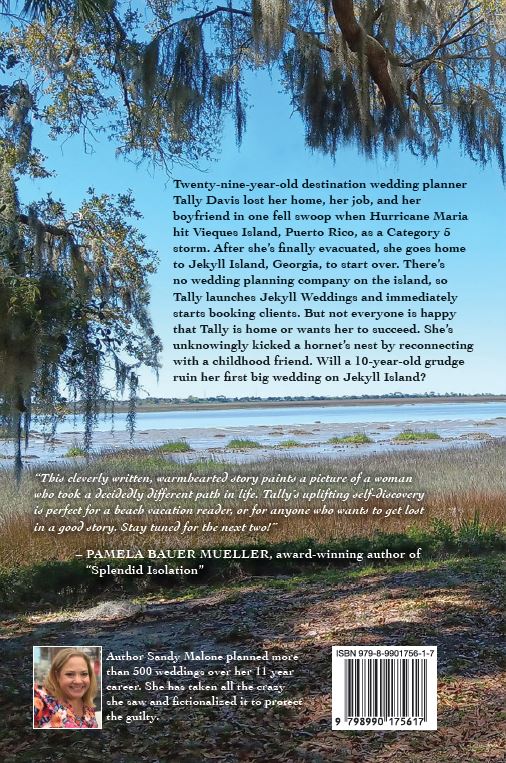 Escape to Jekyll Island - Gem of the Golden Isles Series Book One (Clean Romance)