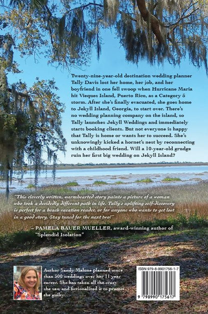 Escape to Jekyll Island - Gem of the Golden Isles Series Book One (Clean Romance)