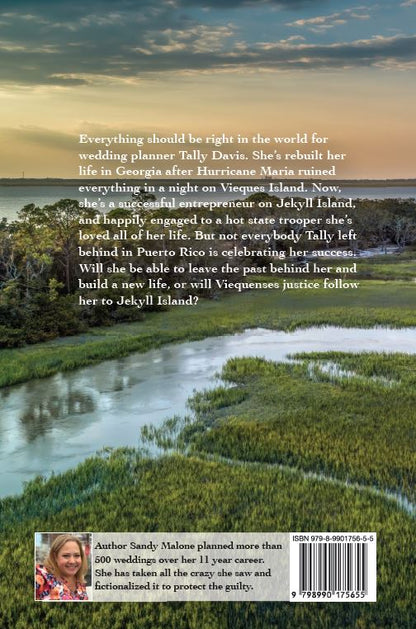 Treasure on Jekyll - Gem of the Golden Isles Series Book Three